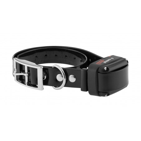 Collier de dressage Dogtrace d-control 600 plus 