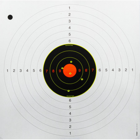 Cibles Shoot-N-C mix 50 cibles et pastilles 