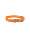 Sangle rechange 1,9 cm compatible pro series - tt15 mini - t5 mini - orange 