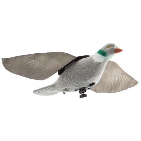 Appelant pigeon Super flap 