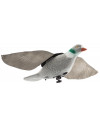 Appelant pigeon Super flap 