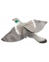 Appelant pigeon Super flap 