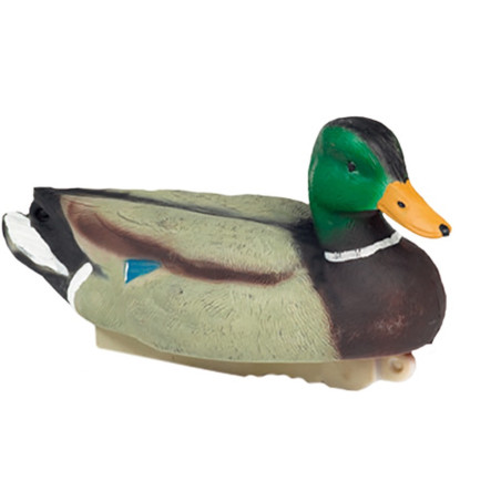 Forme de canard colvert male HD Stepland 