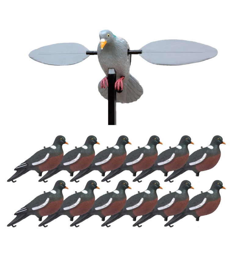 Pack chasse du pigeon Rotor