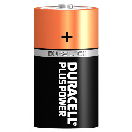 Piles alcalines D LR20 1,5 volt - Duracell 