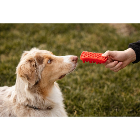 Brosse grands chiens à poils longs PETME 