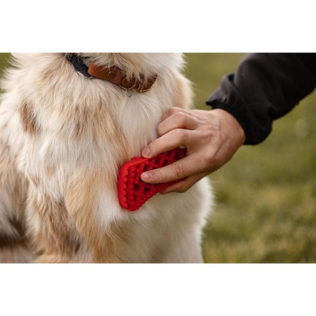 Brosse grands chiens à poils longs PETME 