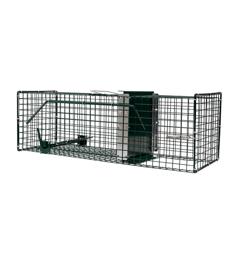 Cage à rats 1 entrée, 60 x 19 x 19 cm BOXTRAP 