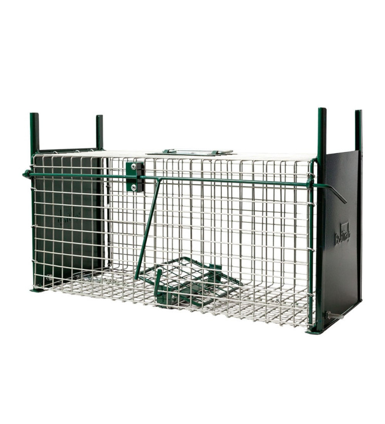 Cage à rats 2 portes, 50 x 21 x 22.5 cm BOXTRAP 