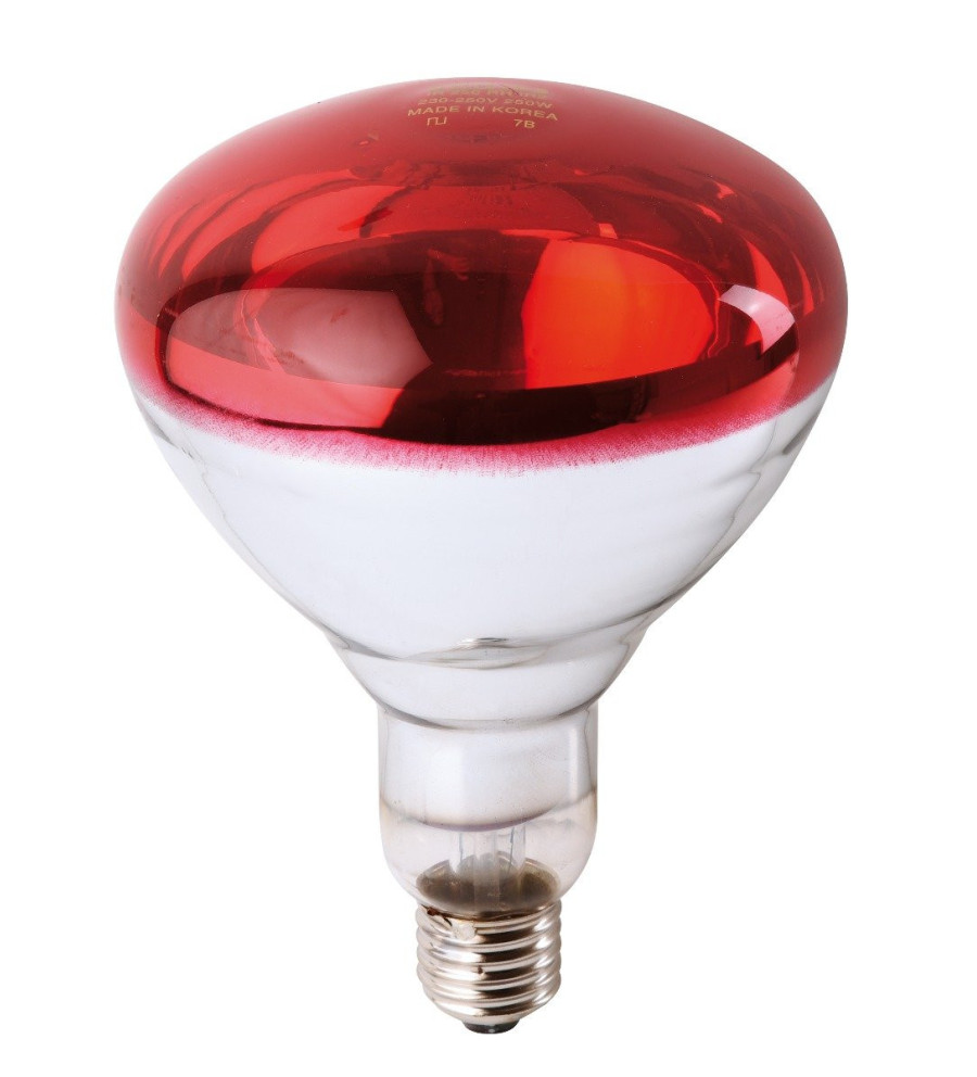 Ampoule PHILIPS IR à vis rouge 150W 