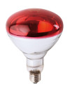 Ampoule PHILIPS IR à vis rouge 150W 