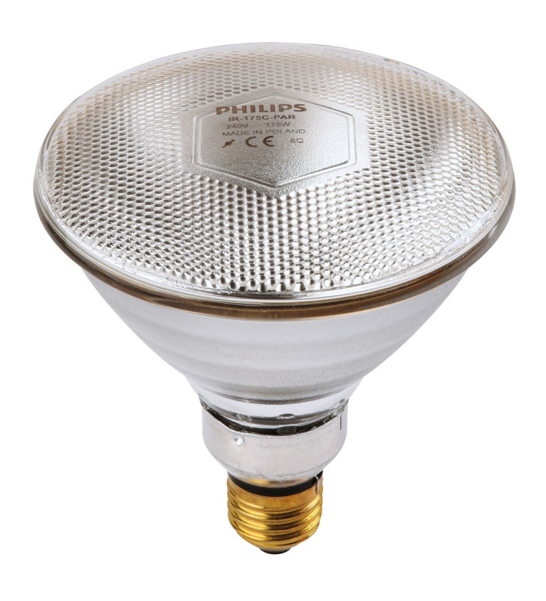 Ampoule PHILIPS IR/PAR blanche 175W 