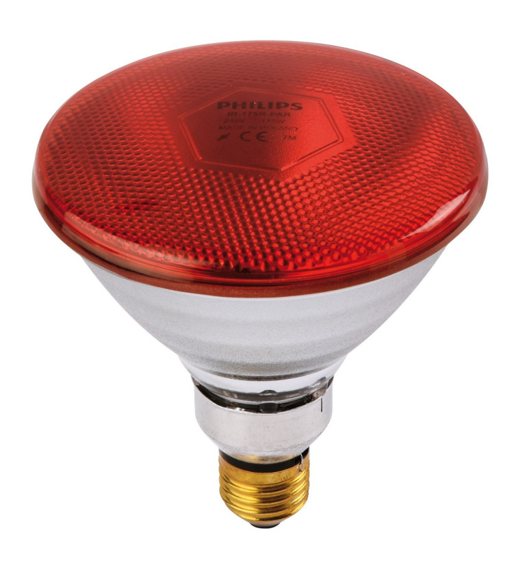 Ampoule PHILIPS IR/PAR rouge 175W 