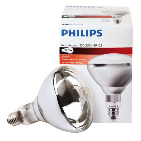 Ampoule PHILIPS IR à vis blanche 250W 