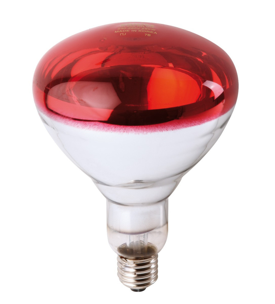 Ampoule PHILIPS IR à vis rouge 250W 