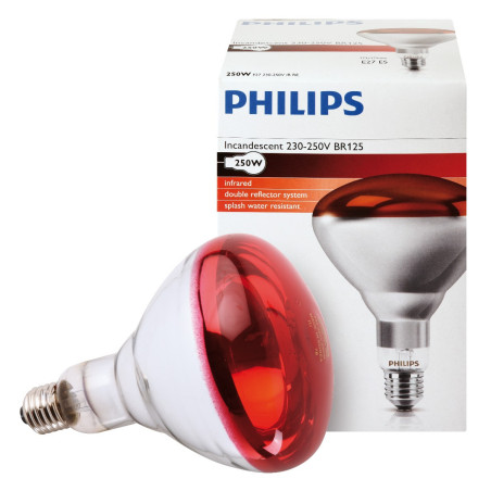 Ampoule PHILIPS IR à vis rouge 250W 