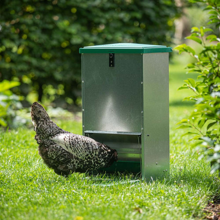 Mangeoire anti-nuisibles pour poules 12 kg 