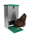 Mangeoire anti-nuisibles pour poules 20 kg 