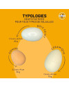 3 œufs factices en bois peint pour poule CHICK'A 