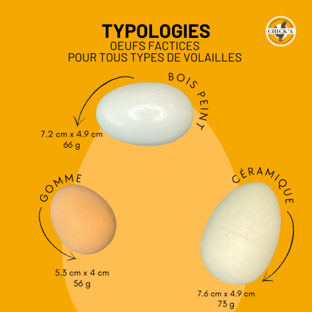 3 œufs factices en céramique pour poule CHICK'A 