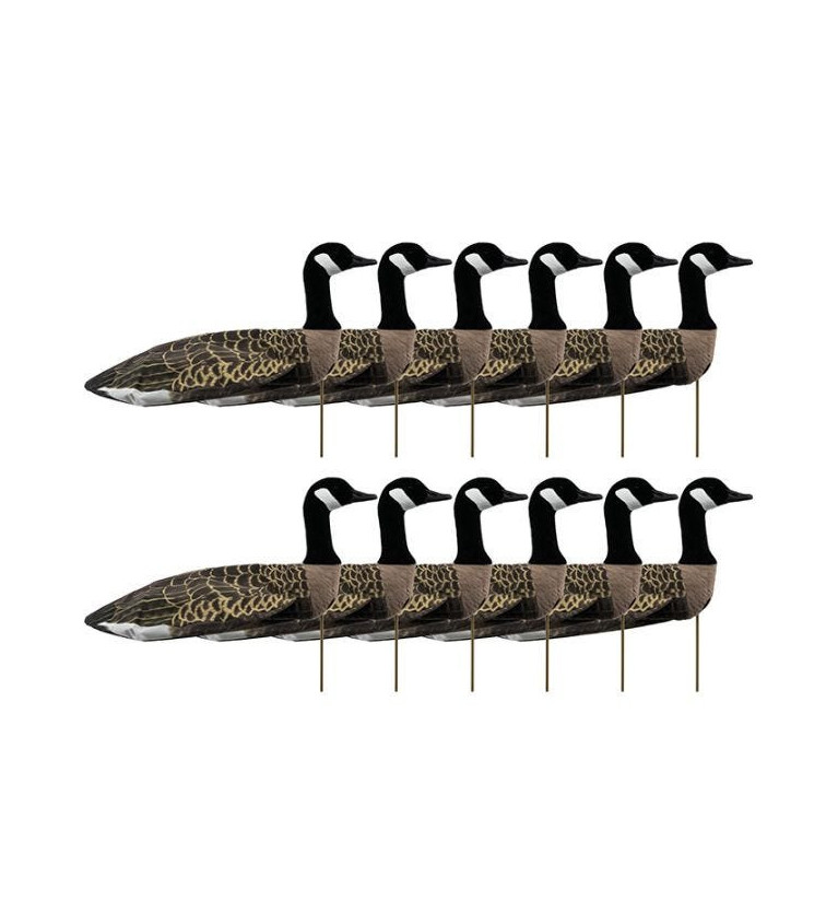 Forme manche à air FlockSox bernache du canada active x12 