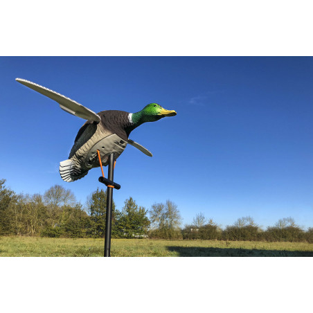 Appelant motorisé électrique canard ailes tournantes 