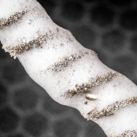 Ecouvillon Bore-Max Speed Real Avid 