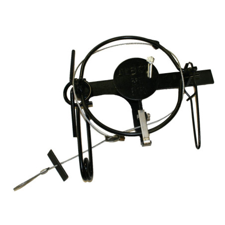 Piège à lacet pour renard Albert