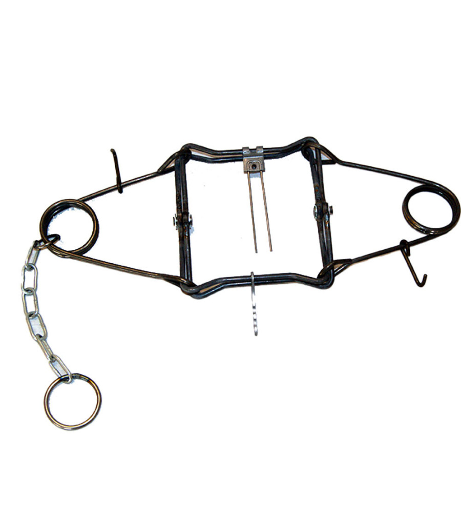 Piège en X - Double ressort - 25 x 25 cm