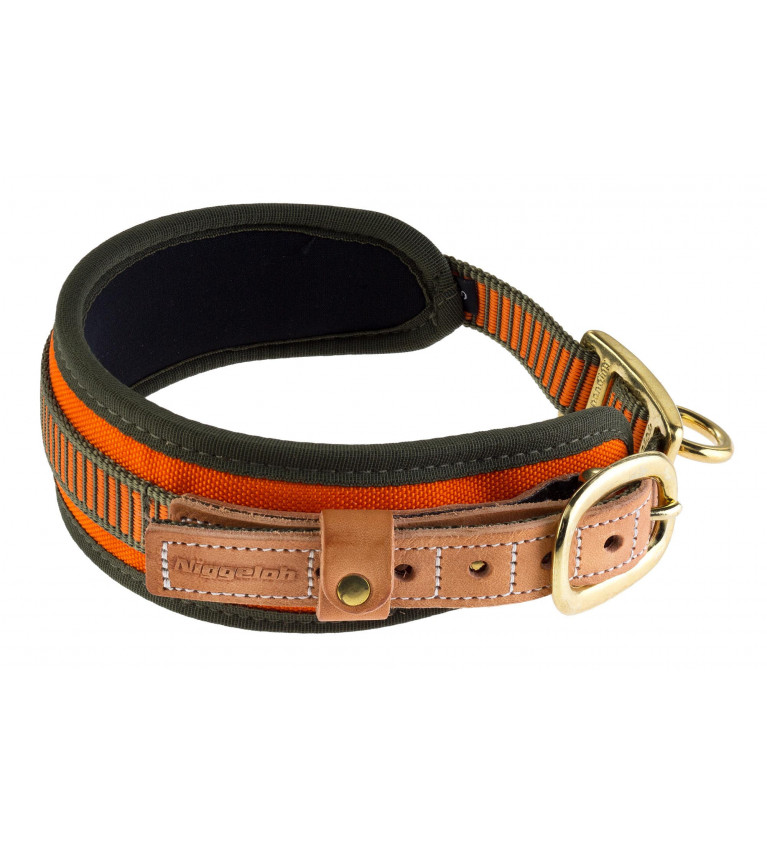 Collier chien de sang orange fluo - Niggeloh 