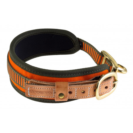 Collier chien de sang orange fluo - Niggeloh 