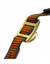 Collier chien de sang orange fluo - Niggeloh 