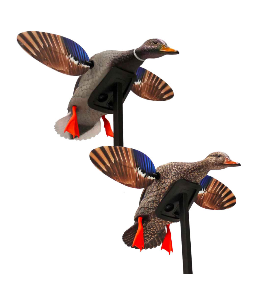 Pack Mojo Elite Series Colvert