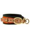 Collier chien de sang orange fluo - Niggeloh 