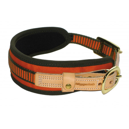 Collier chien de sang orange fluo - Niggeloh 