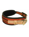 Collier chien de sang orange fluo - Niggeloh 