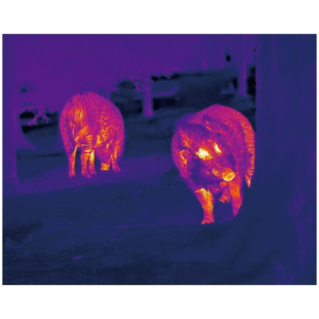 Monoculaire thermique Nocpix Lumi H35R LRF 