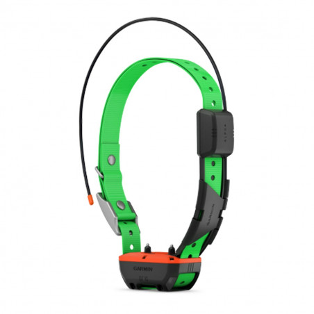 Collier de suivi et de dressage Garmin TT25F