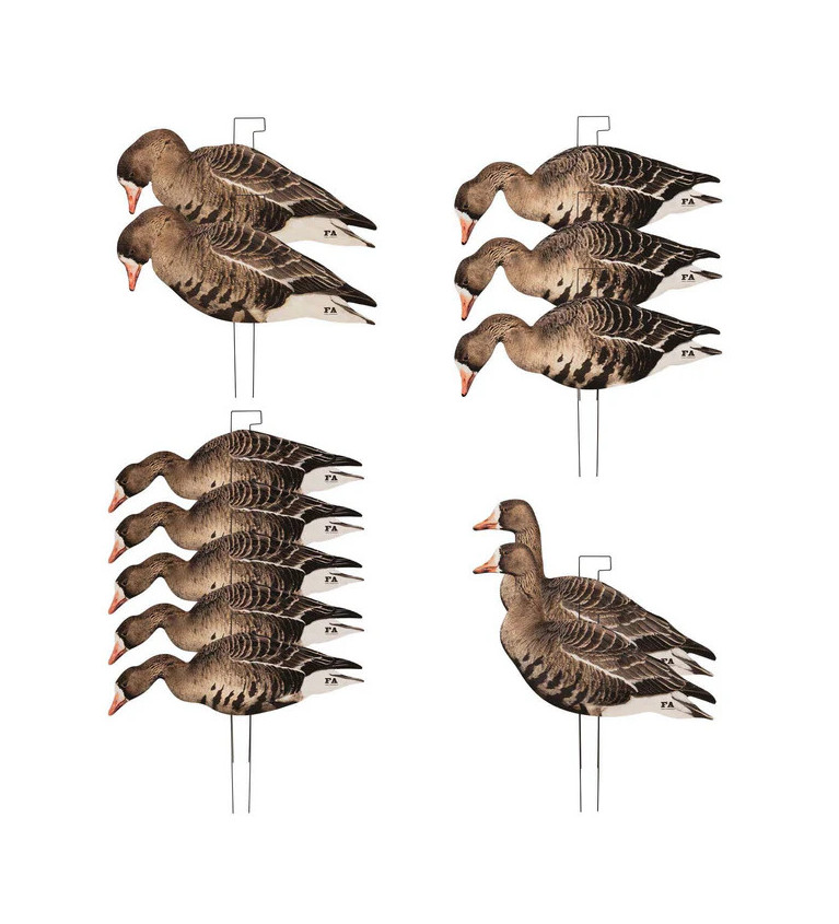 Formes silhouettes d'oie rieuse Final Approach x12 - Tout-Chasse.fr