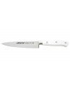 Couteaux de chef Arcos Riviera 15 cm 