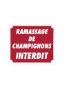 Panneau ''Ramassage de champignons interdit'' 30 x 25 cm 