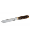 Couteau Fallkniven GP - Gentleman Pocket 7,8 cm 