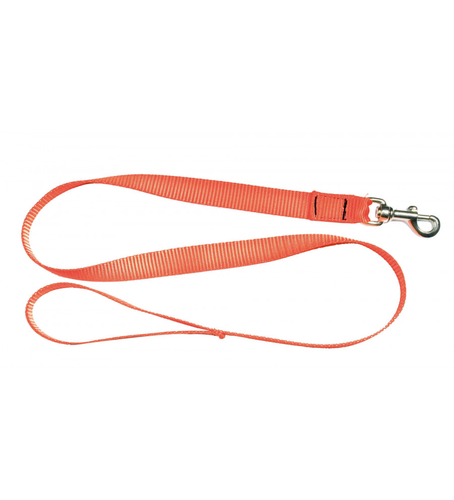 Laisse 1,20 m sangle orange fluo pour chien - Country 