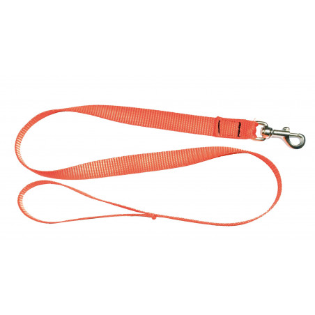 Laisse 1,20 m sangle orange fluo pour chien - Country 