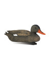 Forme de canard chipeau femelle Stepland 