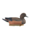 Forme de canard siffleur femelle HD  Stepland 