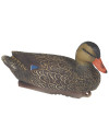 Forme de canard colvert femelle HD Stepland 