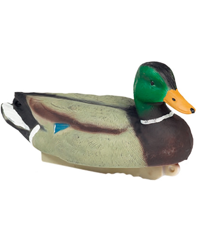 Forme de canard colvert male HD Stepland 