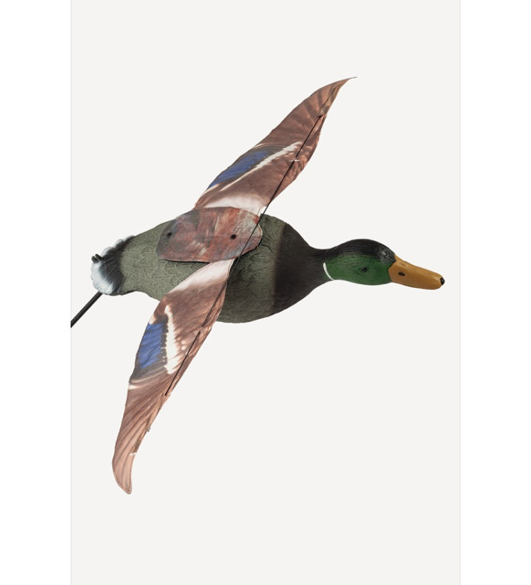 Forme de colvert male step-flap Stepland 