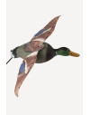 Forme de colvert male step-flap Stepland 